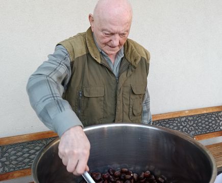 KESTENIJADA U NAŠEM DOMU